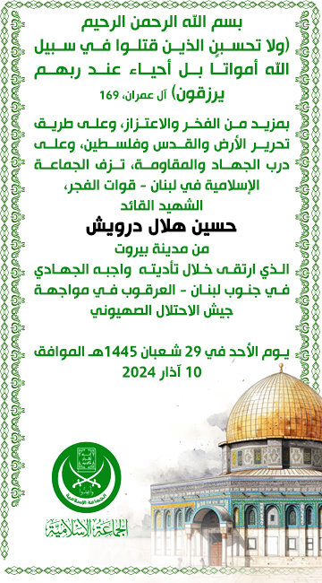 housien-darweesh (4)